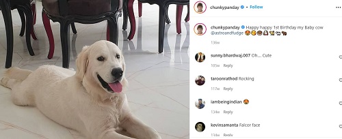 अपने कुत्ते के बारे में चंकी पांडे का इंस्टाग्राम पोस्ट