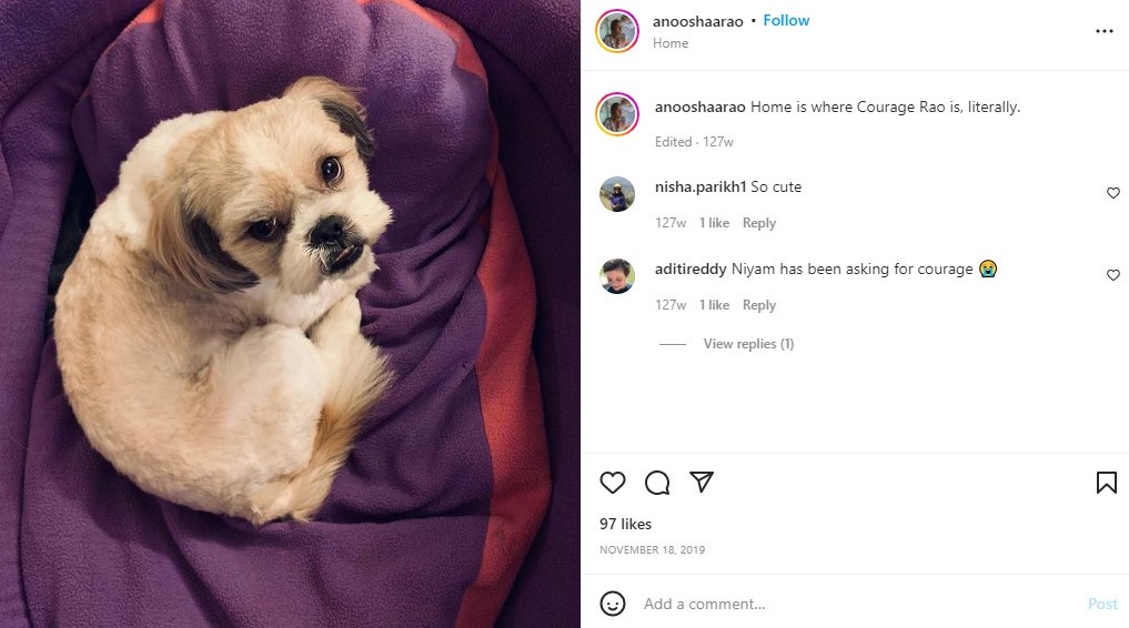 अनुषा राव की इंस्टाग्राम पोस्ट उनके कुत्ते के बारे में