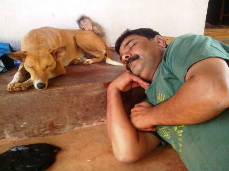 कुत्ते के बगल में सो रहे दिनेश मंगलुरु