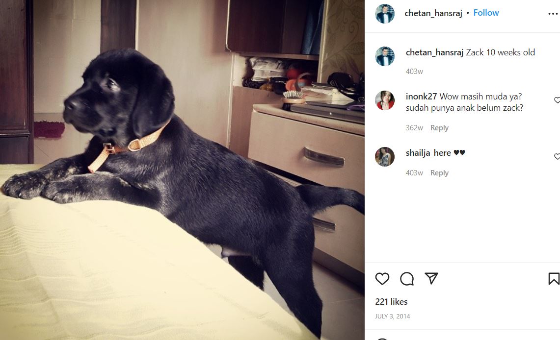 चेतन हंसराज द्वारा अपने कुत्ते के बारे में एक इंस्टाग्राम पोस्ट