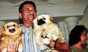 परवेज मुशर्रफ को कुत्तों से है प्यार