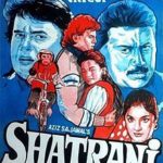 सरफराज खान की पहली फिल्म - शत्रुंज (1993)