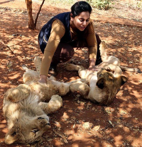 शेरों के साथ खेलती उपासना कामिनेनी