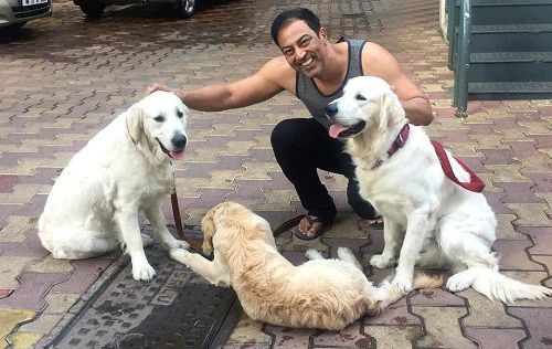 विंदू दारा सिंह को कुत्तों से प्यार है