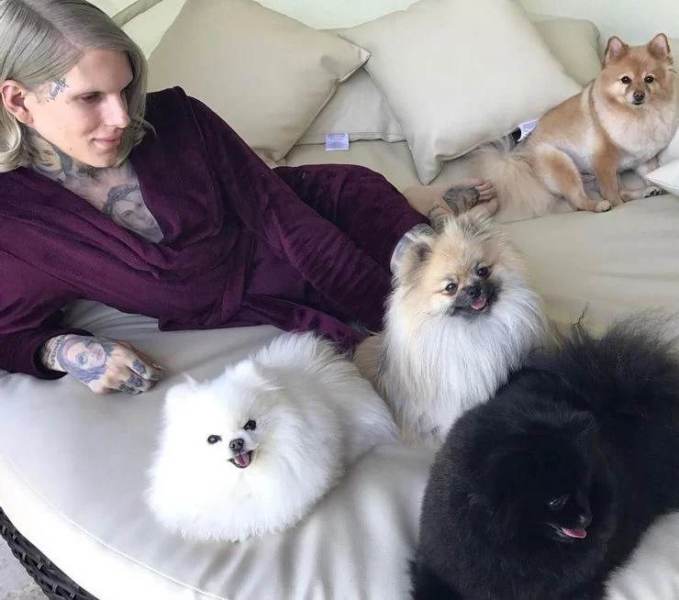 जेफ्री स्टार अपने कुत्तों के साथ