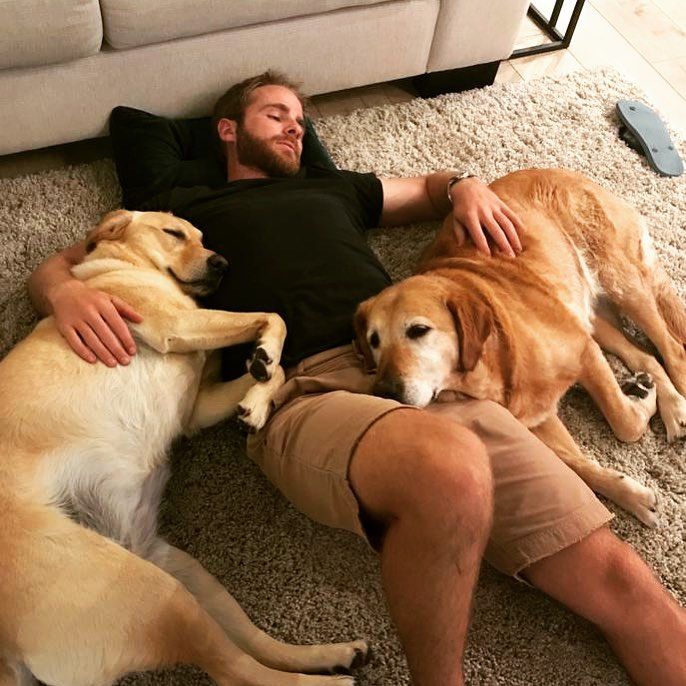 केन विलियमसन अपने पालतू कुत्तों के साथ