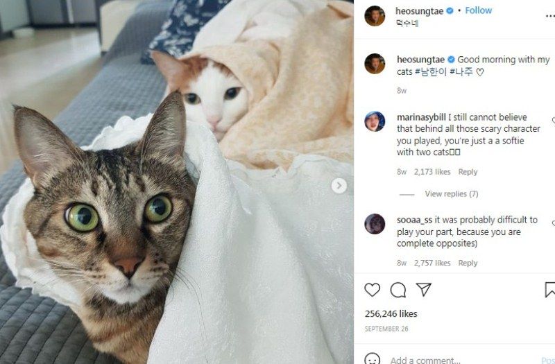 Heo Sung-tae ने एक Instagram पोस्ट में अपनी बिल्लियों के बारे में बात करते हुए