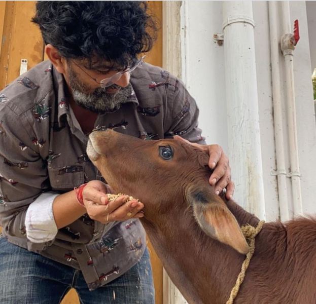 घर के बाहर आवारा गाय को खाना खिलाते रवि किरण