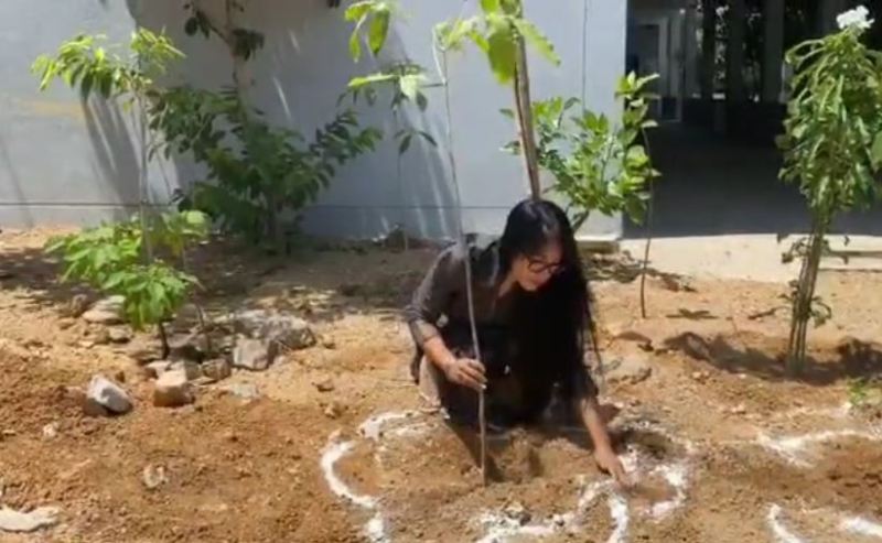 अनी मास्टर अपने घर में एक युवा पेड़ लगाते हुए