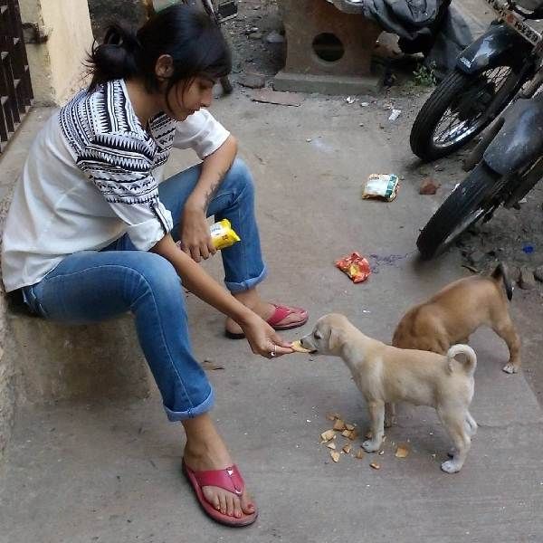 जगन्नाथ को आवारा कुत्तों को खाना खिलाते हुए देखें