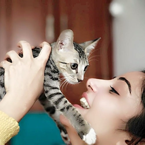 अपनी पालतू बिल्ली के साथ शैली कृष्ण