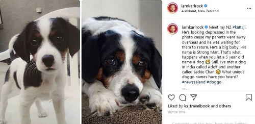 कार्ल रॉक की इंस्टाग्राम पोस्ट उनके पालतू कुत्ते के बारे में