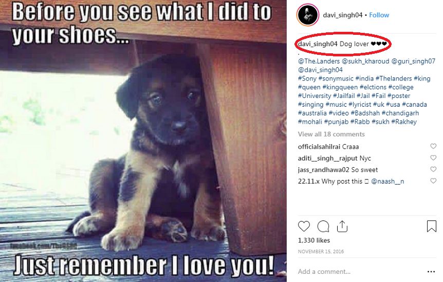 डेवी सिंह को कुत्तों से प्यार है (उनकी एक इंस्टाग्राम पोस्ट)