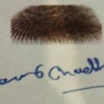 1653283522 432 Manveer Choudhary Actor उम्र परिवार गर्लफ्रेंड Biography Hindi मनवीर चौधरी के हस्ताक्षर और अंगूठे का निशान