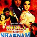 गोविंद नामदेव शोला की पहली फिल्म और शबनम (1992)