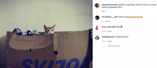 दीपक कुमार मिश्रा द्वारा अपनी पालतू बिल्ली के बारे में एक इंस्टाग्राम पोस्ट