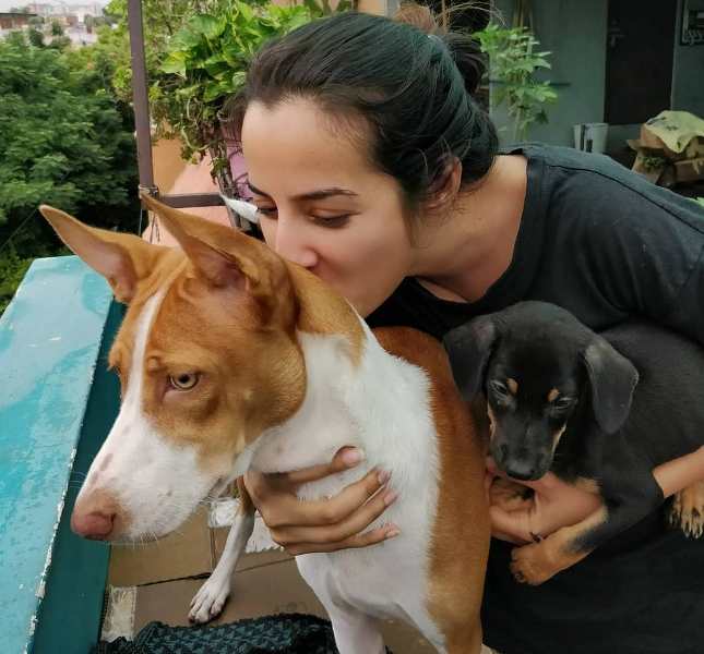 अमृता श्रीनिवासन अपने पालतू कुत्तों के साथ