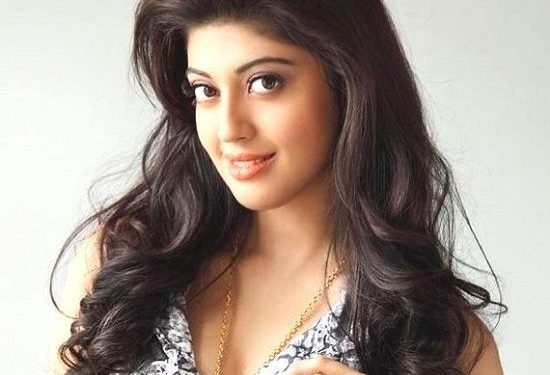 Pranitha Subhash हाइट Weight उम्र Affairs Biography in Hindi pranitha-subhash