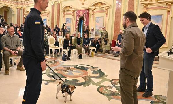 पैट्रन नामक बम सूँघने वाले कुत्ते को ज़ेलेंस्की से राजकीय सम्मान